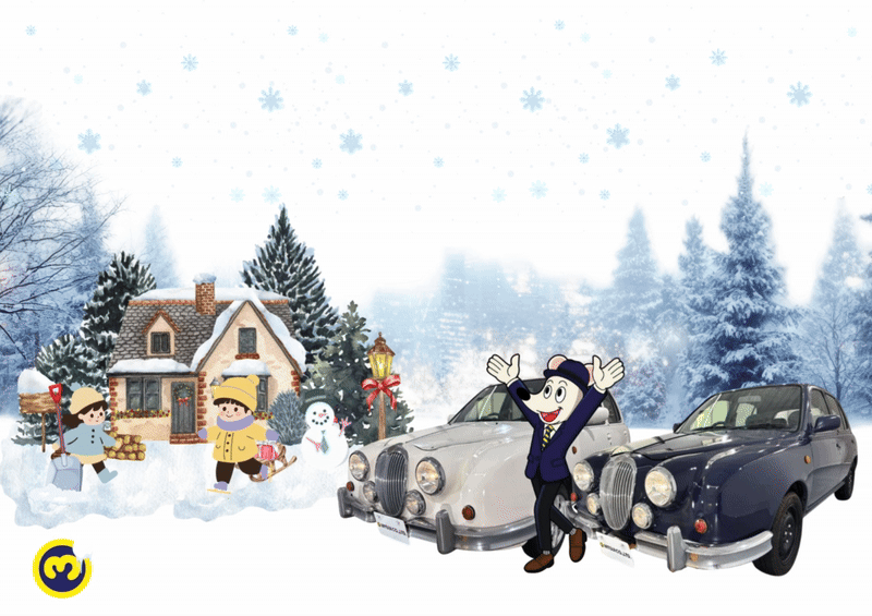 Mitsui co.,ltd. exporting Japanese used cars from Japan.